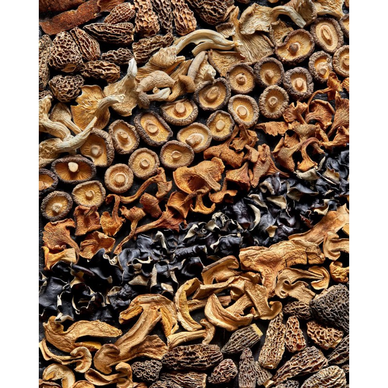 Mélange Forestier Champignons Sauvages Sèchés 50 g  - Plantin