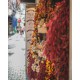 Street Food Espagnole - Barcelone