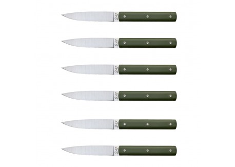 9.47 Coffret Couteaux de Table Vert Fougère 6 pcs  - Perceval