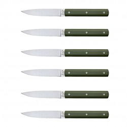 9.47 Coffret Couteaux de Table Vert Fougère 6 pcs 