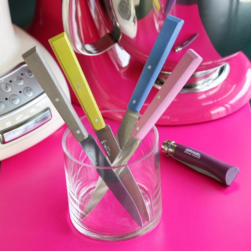 Bon Appétit Tafelmesjes Campagne Set 4 stuks - Opinel