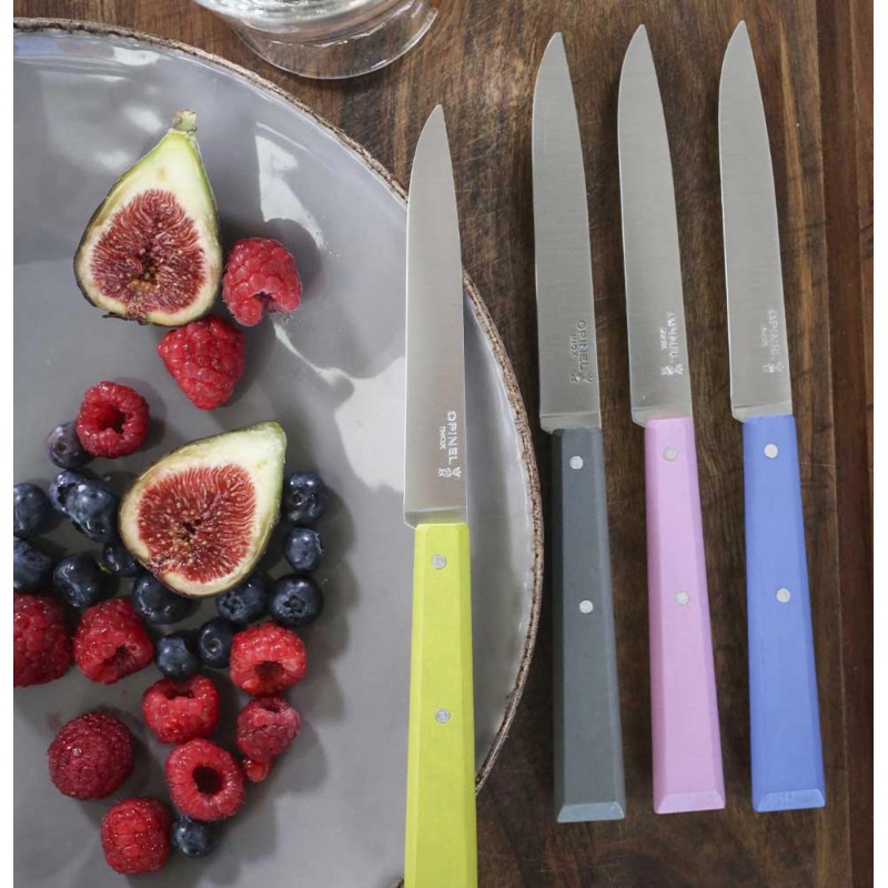Bon Appétit Tafelmesjes Campagne Set 4 stuks - Opinel