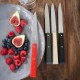Bon Appétit Tafelmesjes Loft Set 4 stuks - Opinel